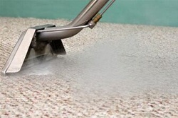 Professional carpet cleaning equipment